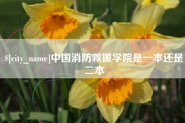 河池中国消防救援学院是一本还是二本