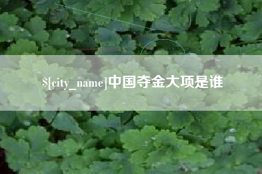 河池中国夺金大项是谁
