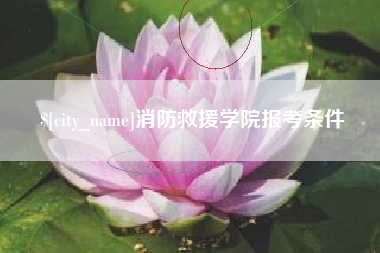 河池消防救援学院报考条件