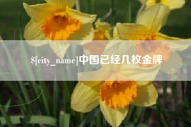 河池中国已经几枚金牌