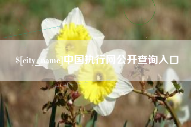 河池中国执行网公开查询入口