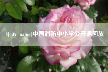 河池中国消防中小学公开课回放