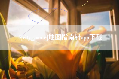 河池地图指南针app下载