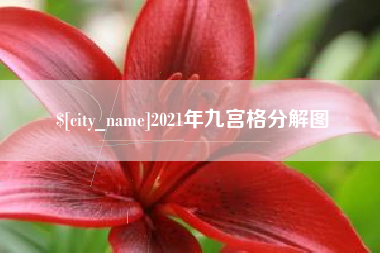 河池2021年九宫格分解图