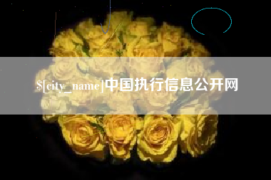 河池中国执行信息公开网