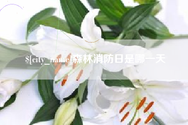 河池森林消防日是哪一天