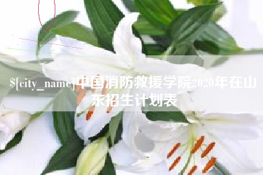 河池中国消防救援学院2020年在山东招生计划表