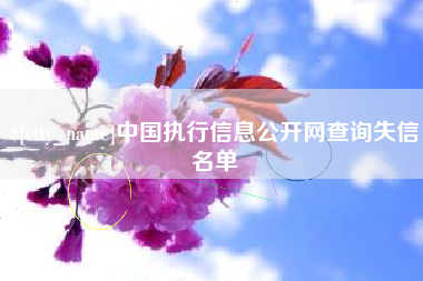河池中国执行信息公开网查询失信名单