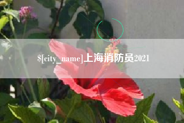 河池上海消防员2021