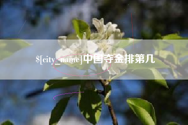 河池中国夺金排第几