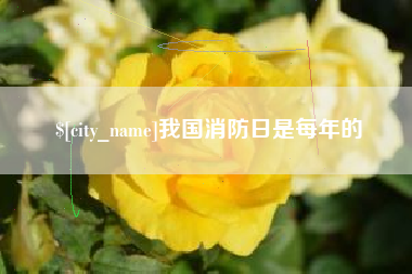 河池我国消防日是每年的