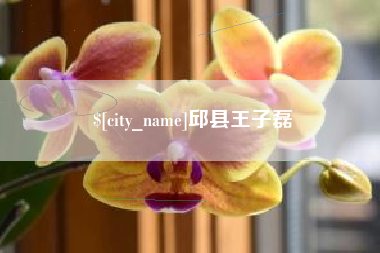 河池邱县王子磊