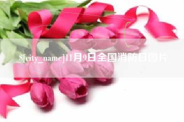 河池11月9日全国消防日图片