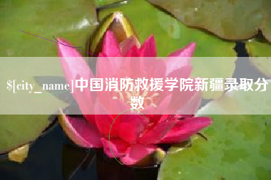 河池中国消防救援学院新疆录取分数