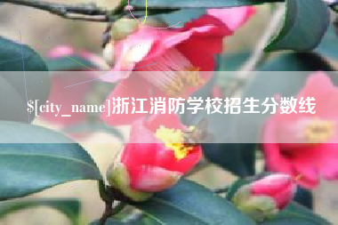 河池浙江消防学校招生分数线