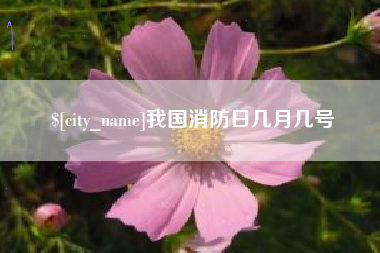 河池我国消防日几月几号