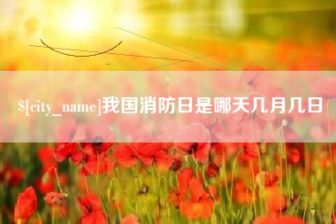 河池我国消防日是哪天几月几日