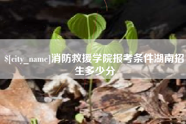 河池消防救援学院报考条件湖南招生多少分