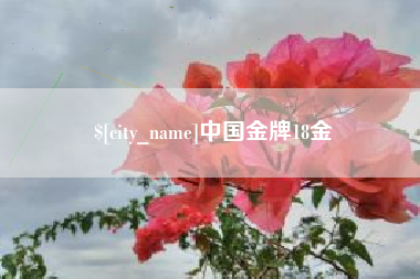 河池中国金牌18金