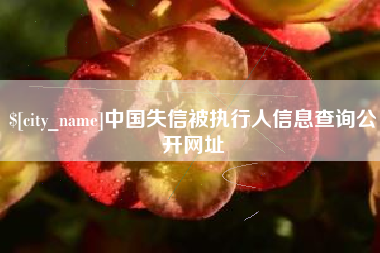 河池中国失信被执行人信息查询公开网址