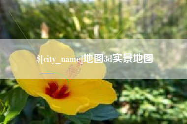 河池地图3d实景地图