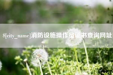 河池消防设施操作员证书查询网址