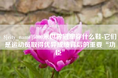 河池5000米世界冠军穿什么鞋-它们是运动员取得优异成绩背后的重要“功臣”