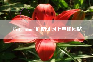 河池消防证网上查询网站
