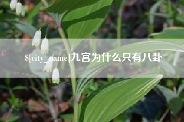河池九宫为什么只有八卦
