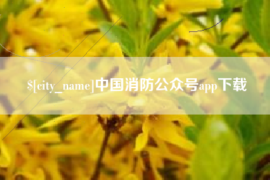 河池中国消防公众号app下载