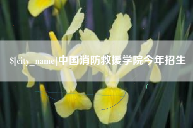 河池中国消防救援学院今年招生
