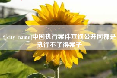 河池中国执行案件查询公开网都是执行不了得案子
