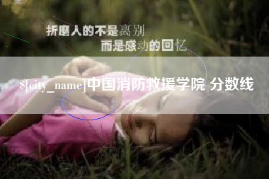 河池中国消防救援学院 分数线