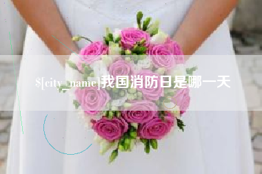 河池我国消防日是哪一天