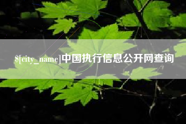 河池中国执行信息公开网查询