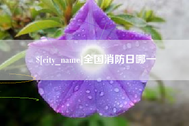 河池全国消防日哪一