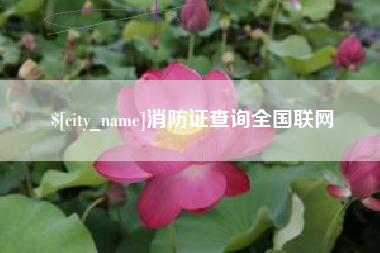河池消防证查询全国联网