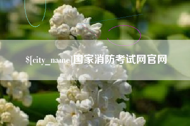 河池国家消防考试网官网