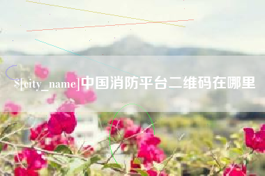 河池中国消防平台二维码在哪里