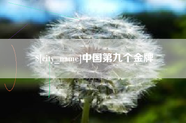 河池中国第九个金牌