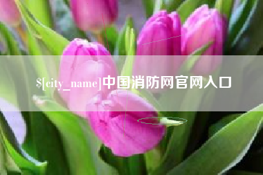 河池中国消防网官网入口