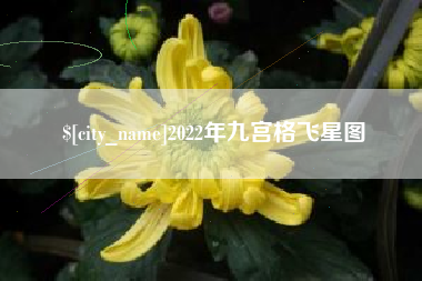 河池2022年九宫格飞星图