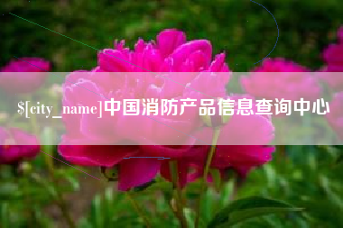 河池中国消防产品信息查询中心