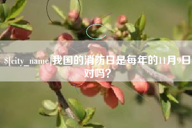 河池我国的消防日是每年的11月9日对吗？