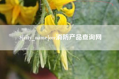 河池ccc消防产品查询网