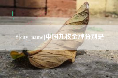 河池中国九枚金牌分别是