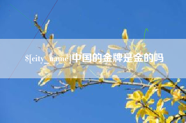 河池中国的金牌是金的吗