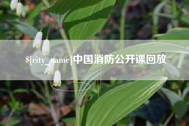河池中国消防公开课回放