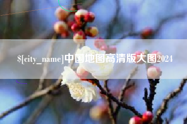 河池中国地图高清版大图2024