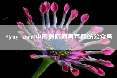 河池中国消防网官方网站公众号